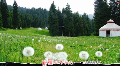 火焰山-葡萄沟-坎儿井-库木塔格沙漠-江布拉克-五彩滩-禾木-喀纳斯-魔鬼城8日游